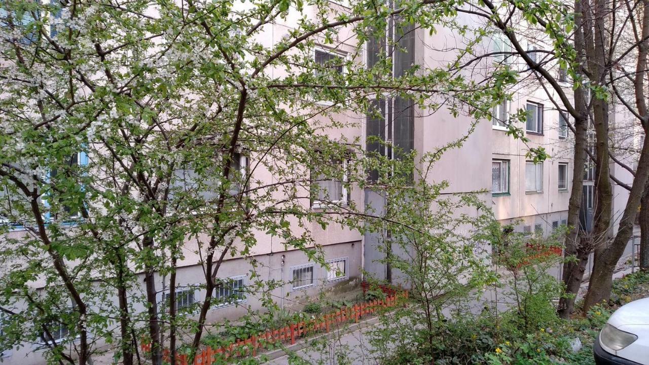 Gesztenyes Apartman Leilighet Miskolc Eksteriør bilde